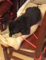 TK055 칫ҵTKµ3