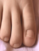 4473-XBDF-45 �������